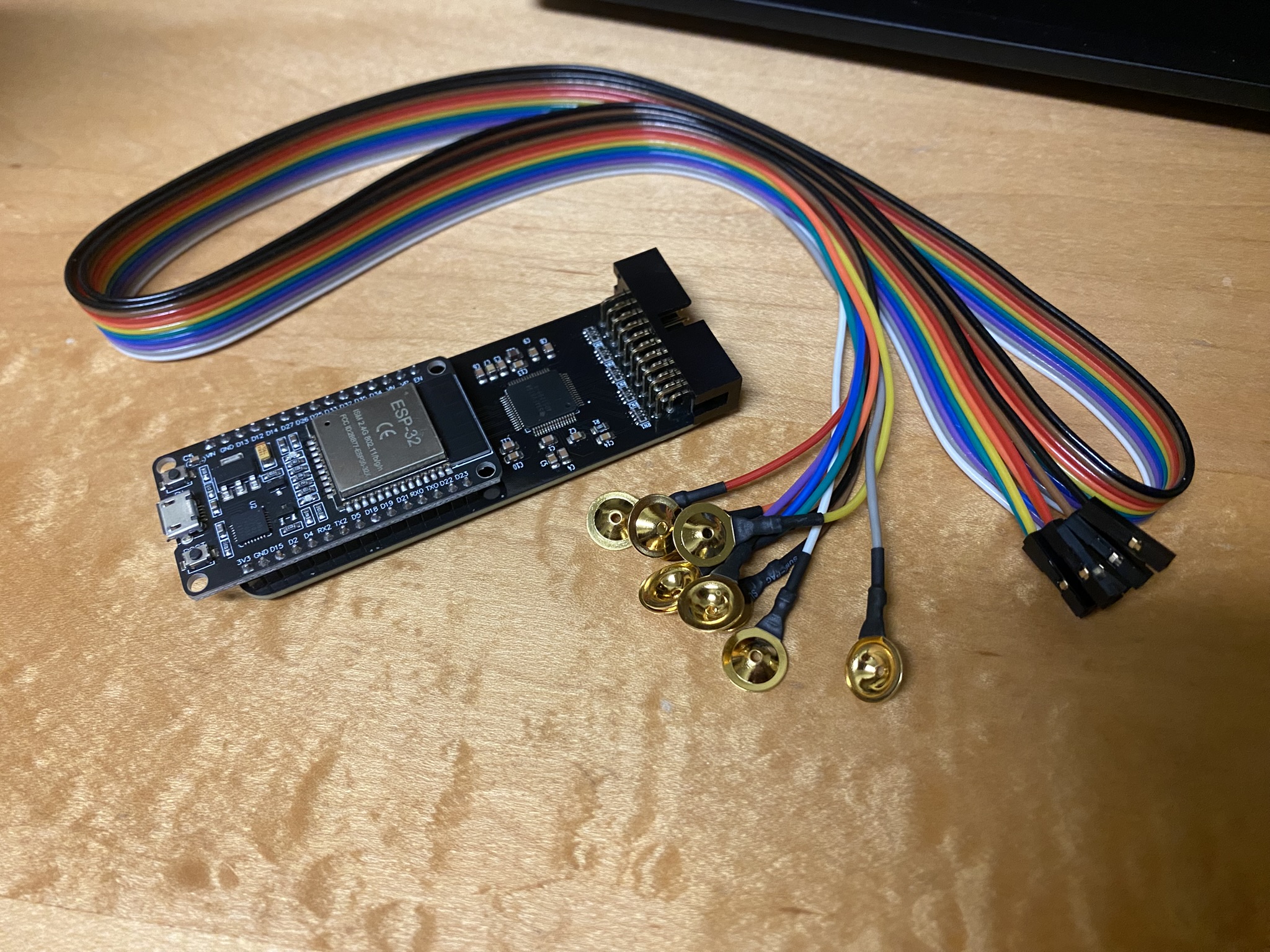 The ECG board with electrode leads